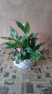 coupe-de-plantes