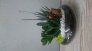 mini-jardin.2
